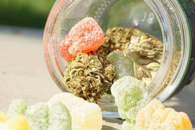 CBD gummies arranged in a small bowl on a light surface.