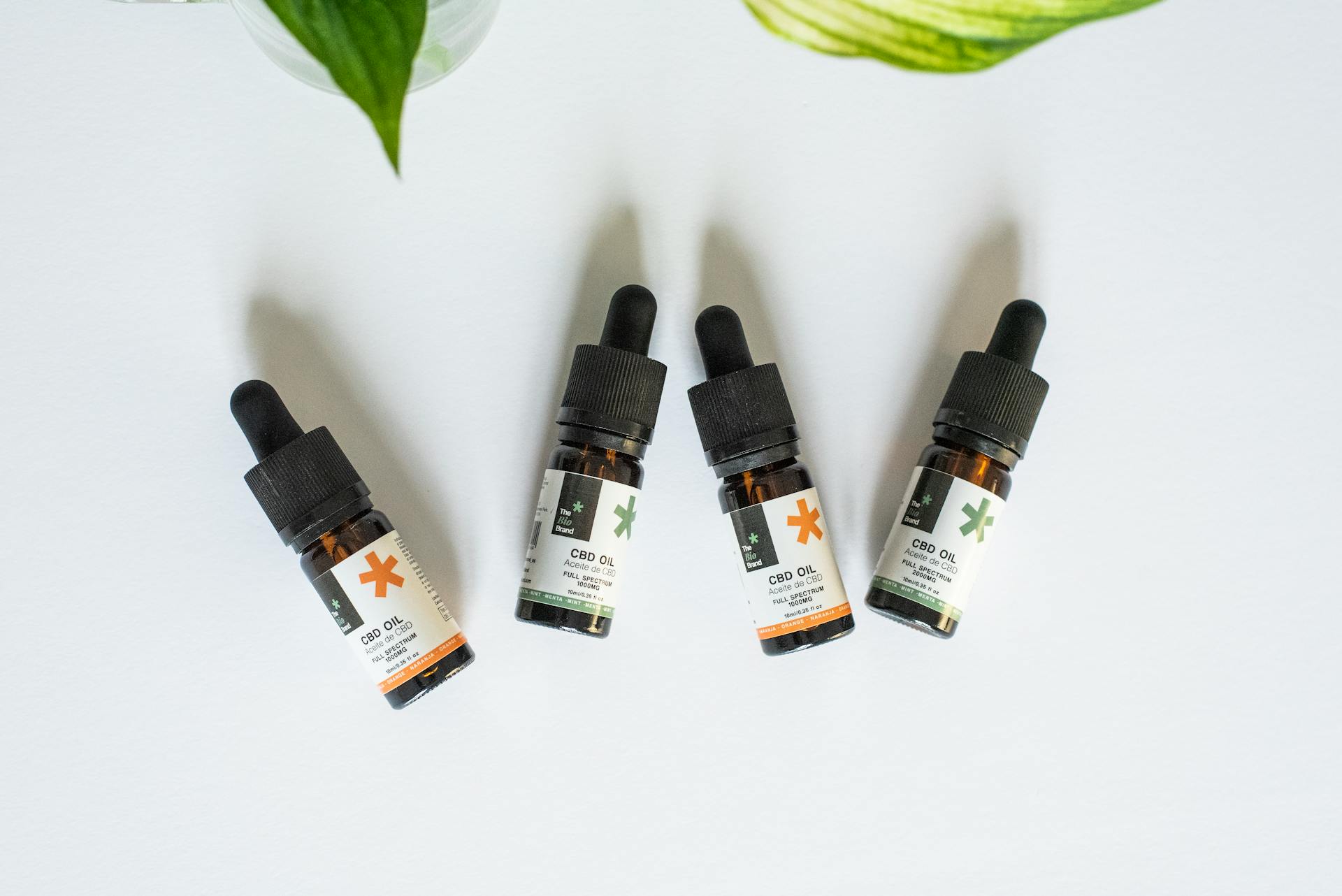 Curated CBD bottles and packaging arranged in a calm cannabis retail editorial scene.