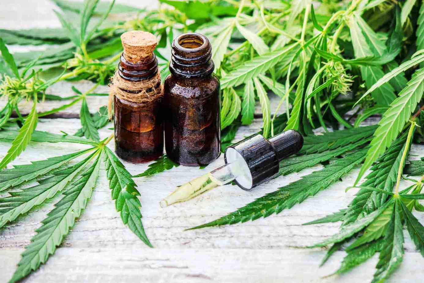 Amber CBD oil bottles and a glass dropper arranged with hemp leaves on a pale tabletop.